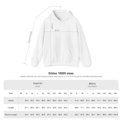 God's Plan Jeremiah 29:11 Unisex Hooded Sweatshirt