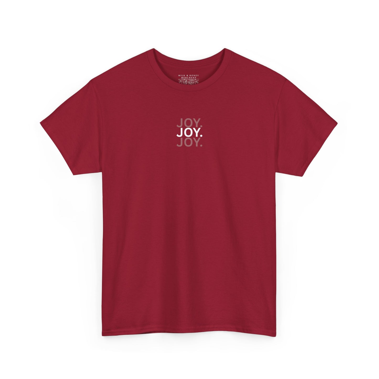 JOY-F.O.T.S (Fruit of the Spirit) T-Shirt