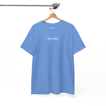 Gentleness-F.O.T.S (Fruit of the Spirit) T-Shirt
