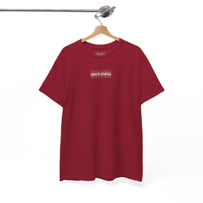 Gentleness-F.O.T.S (Fruit of the Spirit) T-Shirt