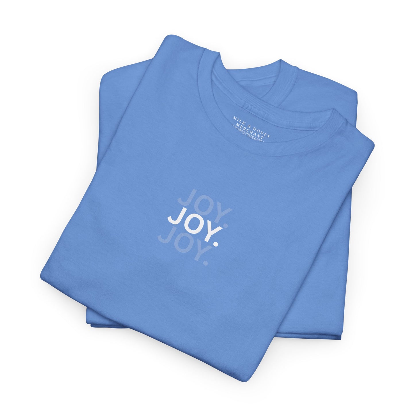 JOY-F.O.T.S (Fruit of the Spirit) T-Shirt